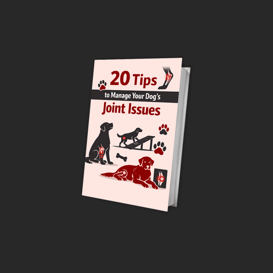 20 Tips to Manage Your Dog’s Joint Issues - RevoPet