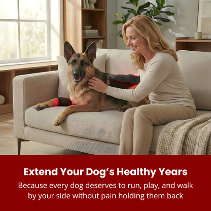 RevoPet™ | Red & Near-Infrared Light Therapy Pad