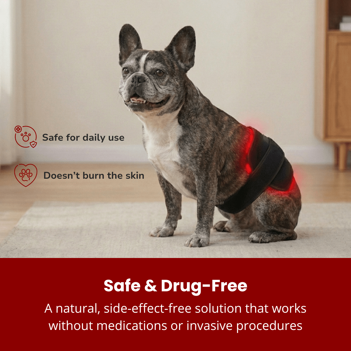 RevoPet™ | Red & Near - Infrared Light Therapy Pad - RevoPet