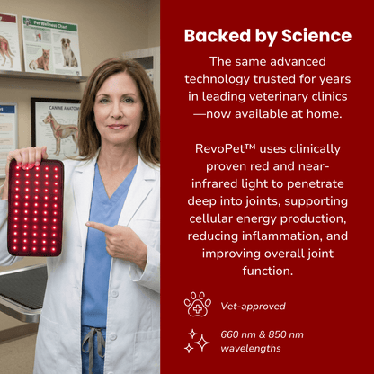 RevoPet™ | Red & Near - Infrared Light Therapy Pad - RevoPet