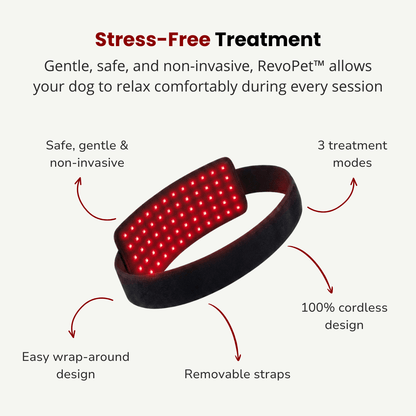 RevoPet™ | Red & Near - Infrared Light Therapy Pad - RevoPet