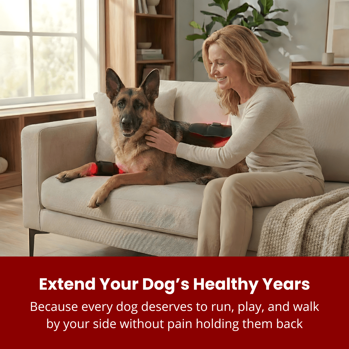 RevoPet™ | Red & Near - Infrared Light Therapy Pad - RevoPet